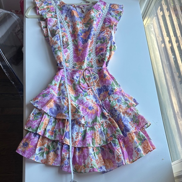 Hello Molly Pink Multi Floral Ruffle Dress - Picture 8 of 12